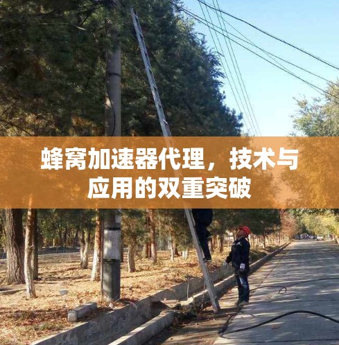蜂窝加速器代理,技术与应用的双重突破 蜂窝加速器代理,技术与应用的双重突破