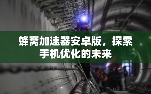 蜂窝加速器安卓版，探索手机优化的未来