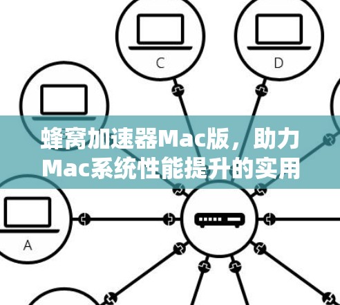 蜂窝加速器Mac版，助力Mac系统性能提升的实用工具