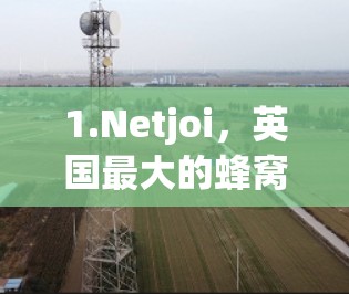 1.Netjoi,英国最大的蜂窝VPN服务提供商之一,提供多种服务,包括本地化、国际化和企业服务 1.Netjoi,英国最大的蜂窝VPN服务提供商之一,提供多种服务,包括本地化、国际化和企业服务