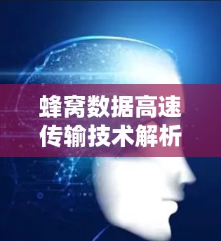 蜂窝数据高速传输技术解析 蜂窝数据高速传输技术解析