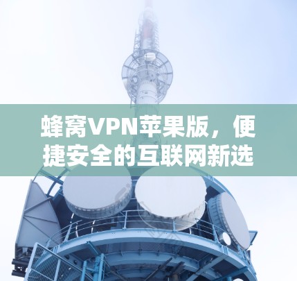 蜂窝VPN苹果版,便捷安全的互联网新选择 蜂窝VPN苹果版,便捷安全的互联网新选择