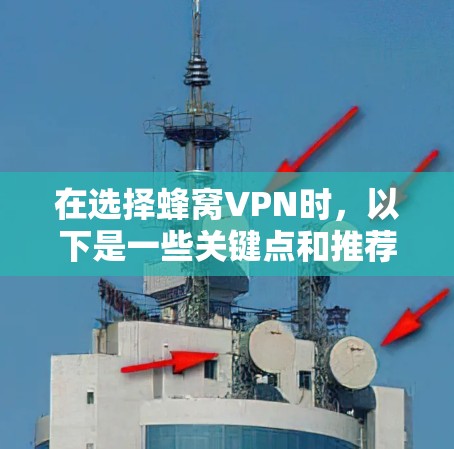 在选择蜂窝VPN时,以下是一些关键点和推荐策略,帮助您做出明智的选择 在选择蜂窝VPN时,以下是一些关键点和推荐策略,帮助您做出明智的选择
