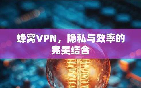 蜂窝VPN，隐私与效率的完美结合