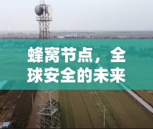 蜂窝节点,全球安全的未来 蜂窝节点,全球安全的未来