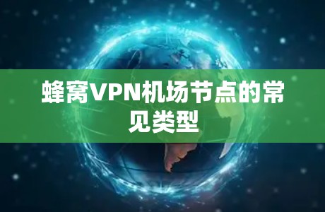 蜂窝VPN机场节点的常见类型 蜂窝VPN机场节点的常见类型