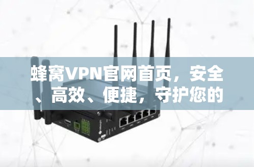 蜂窝VPN官网首页，安全、高效、便捷，守护您的通信世界