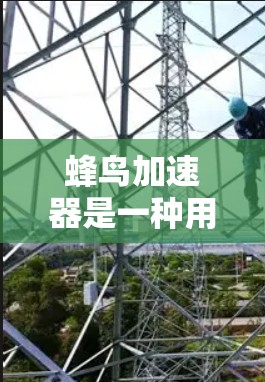 蜂鸟加速器是一种用于提升手机或电脑应用加载速度的工具,通过缓存和加速特定资源,从而提高用户体验。以下是关于蜂鸟加速器的详细解析 蜂鸟加速器是一种用于提升手机或电脑应用加载速度的工具,通过缓存和加速特定资源,从而提高用户体验。以下是关于蜂鸟加速器的详细解析