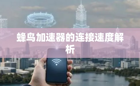 蜂鸟加速器的连接速度解析