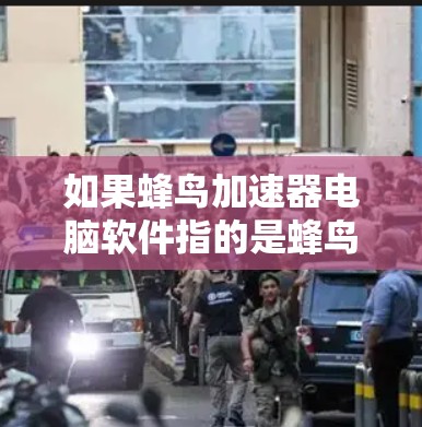 如果蜂鸟加速器电脑软件指的是蜂鸟提供的加速工具，那么以下是关于蜂鸟加速器软件的详细介绍