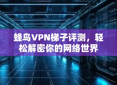 蜂鸟VPN梯子评测，轻松解密你的网络世界