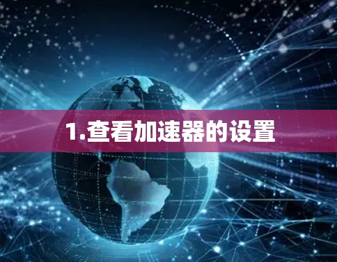 1.查看加速器的设置