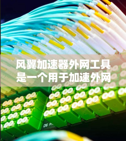 风翼加速器外网工具是一个用于加速外网服务器上的网站的软件，旨在减少加载时间并提升网站性能。以下是对该工具的详细介绍