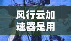 风行云加速器是用于加速数据传输的设备,通常用于云存储、云计算等场景。连接到外网需要考虑外网连接的物理接口、无线技术、网络配置以及设备的性能和稳定性。以下是详细的步骤和信息 风行云加速器是用于加速数据传输的设备,通常用于云存储、云计算等场景。连接到外网需要考虑外网连接的物理接口、无线技术、网络配置以及设备的性能和稳定性。以下是详细的步骤和信息
