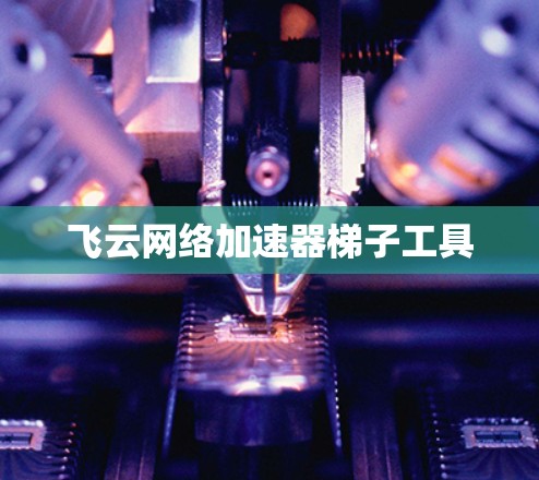 飞云网络加速器梯子工具 飞云网络加速器梯子工具