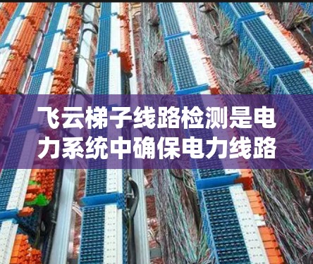 飞云梯子线路检测是电力系统中确保电力线路安全运行的重要步骤。以下是对飞云梯子线路检测的详细步骤和注意事项 飞云梯子线路检测是电力系统中确保电力线路安全运行的重要步骤。以下是对飞云梯子线路检测的详细步骤和注意事项