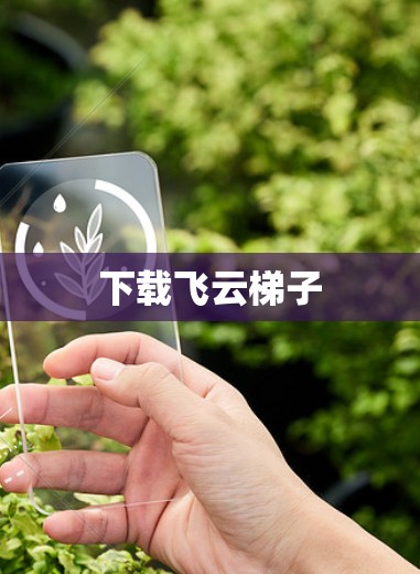 下载飞云梯子