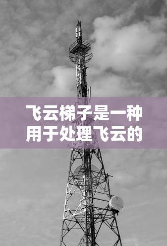 飞云梯子是一种用于处理飞云的特殊工具，主要用于建筑、装饰等领域。以下是对飞云梯子的详细指南