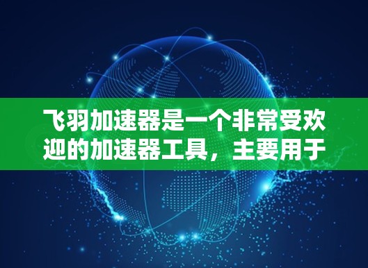飞羽加速器是一个非常受欢迎的加速器工具，主要用于提升游戏加载速度。为了进一步优化飞羽加速器，可以从以下几个方面入手