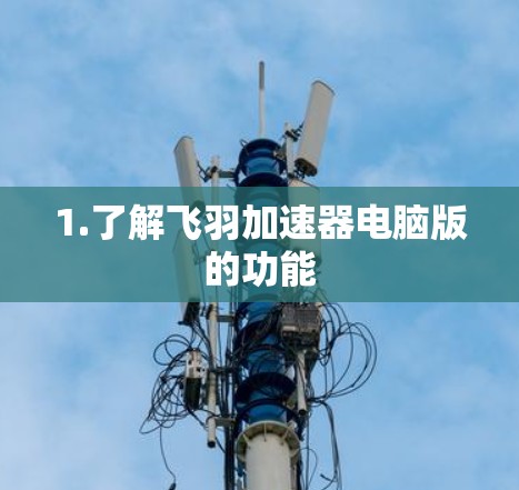 1.了解飞羽加速器电脑版的功能