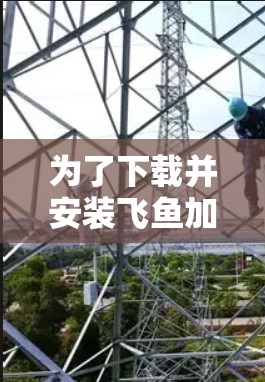 为了下载并安装飞鱼加速器,可以按照以下步骤进行