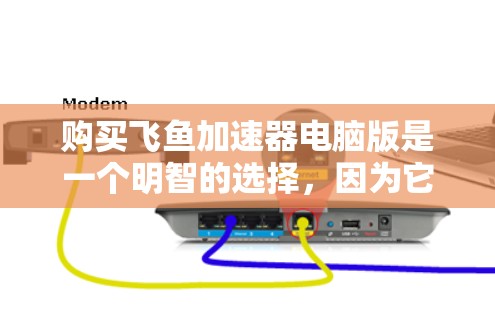 购买飞鱼加速器电脑版是一个明智的选择，因为它可以帮助提升电脑性能，适用于多种场景。以下是一个结构化的指南，帮助您有效使用飞鱼加速器