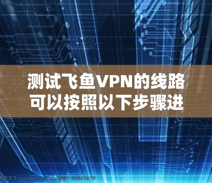 测试飞鱼VPN的线路可以按照以下步骤进行
