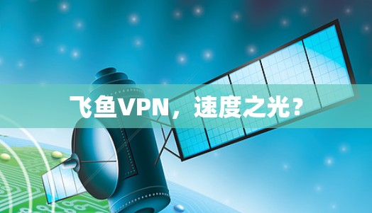 飞鱼VPN,速度之光?
