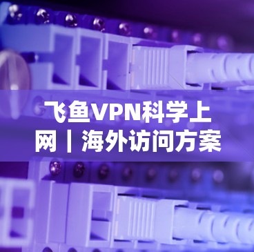 飞鱼VPN科学上网｜海外访问方案