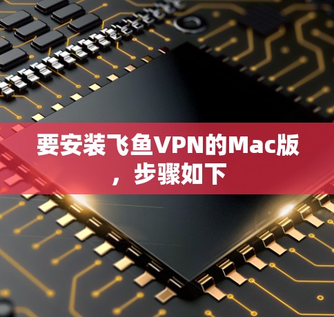 要安装飞鱼VPN的Mac版，步骤如下