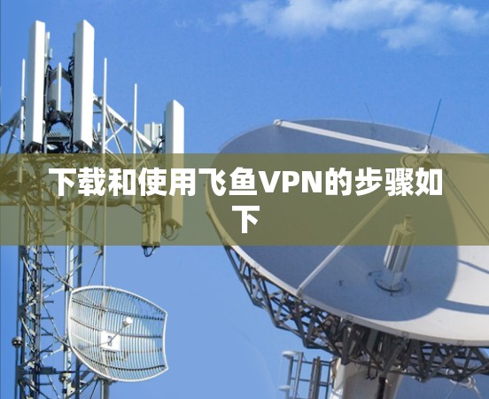 下载和使用飞鱼VPN的步骤如下