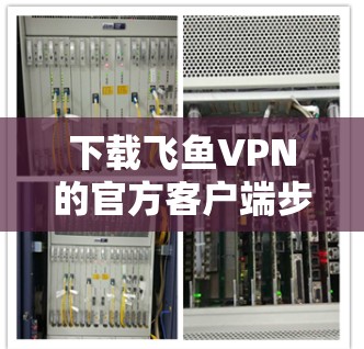 下载飞鱼VPN的官方客户端步骤如下