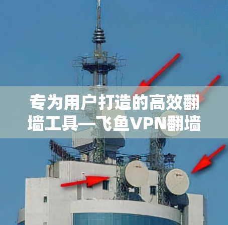 专为用户打造的高效翻墙工具—飞鱼VPN翻墙软件