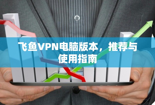 飞鱼VPN电脑版本,推荐与使用指南