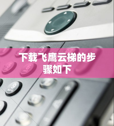 下载飞鹰云梯的步骤如下