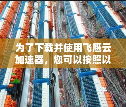 为了下载并使用飞鹰云加速器,您可以按照以下步骤进行
