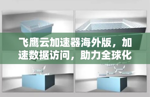 飞鹰云加速器海外版,加速数据访问,助力全球化发展