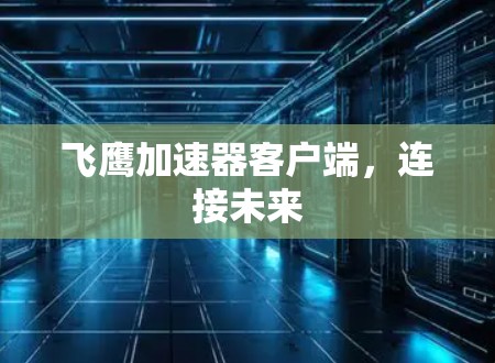 飞鹰加速器客户端,连接未来