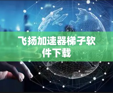 飞扬加速器梯子软件下载