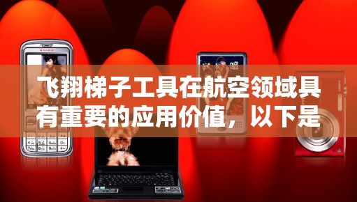 飞翔梯子工具在航空领域具有重要的应用价值，以下是对其的详细分析