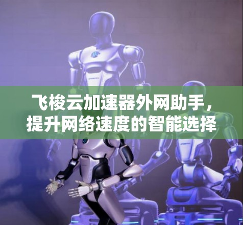 飞梭云加速器外网助手,提升网络速度的智能选择