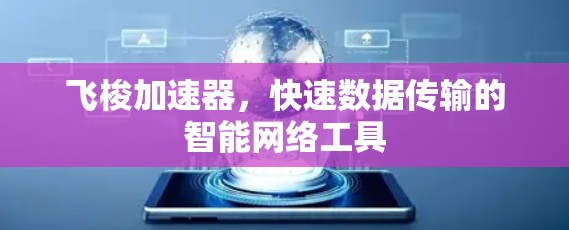 飞梭加速器，快速数据传输的智能网络工具