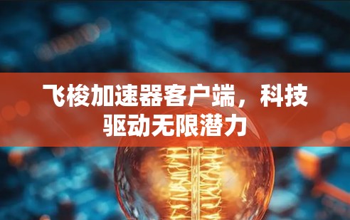 飞梭加速器客户端，科技驱动无限潜力