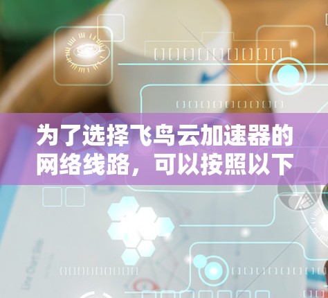 为了选择飞鸟云加速器的网络线路，可以按照以下步骤进行