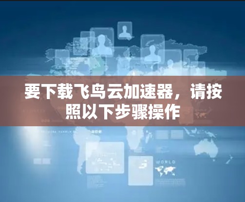 要下载飞鸟云加速器，请按照以下步骤操作