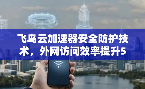 飞鸟云加速器安全防护技术，外网访问效率提升5%