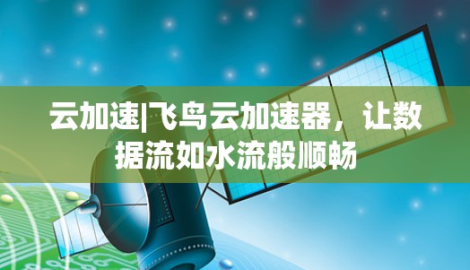 云加速|飞鸟云加速器，让数据流如水流般顺畅