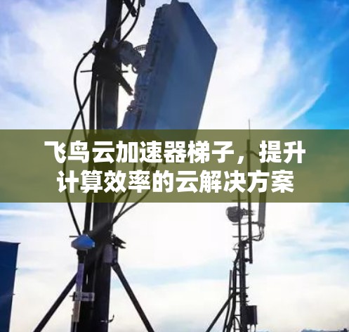 飞鸟云加速器梯子，提升计算效率的云解决方案