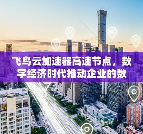 飞鸟云加速器高速节点，数字经济时代推动企业的数字化转型机遇