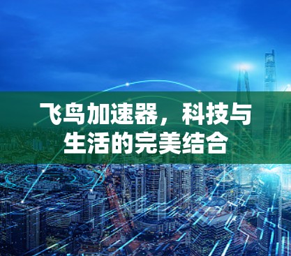飞鸟加速器，科技与生活的完美结合